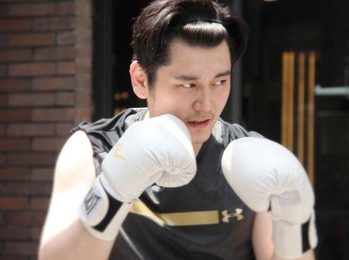 丁润琪爆料视频大全,揭秘背后真相与精彩瞬间